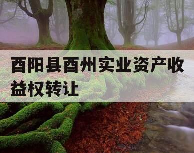 酉阳县酉州实业资产收益权转让