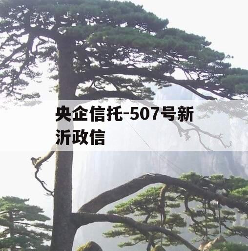 央企信托-507号新沂政信