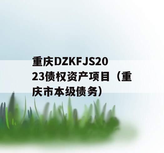 重庆DZKFJS2023债权资产项目（重庆市本级债务）