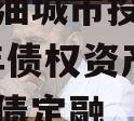 四川江油城市投资发展2023年债权资产项目政府债定融