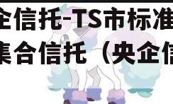 央企信托-TS市标准债集合信托（央企信托）