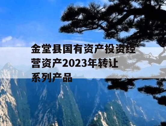 金堂县国有资产投资经营资产2023年转让系列产品