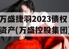 万盛捷羽2023债权资产(万盛控股集团)