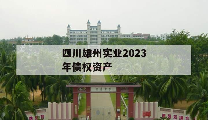 四川雄州实业2023年债权资产
