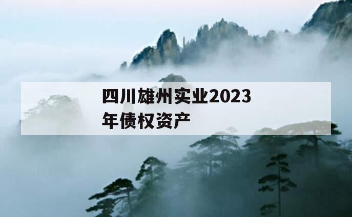 四川雄州实业2023年债权资产