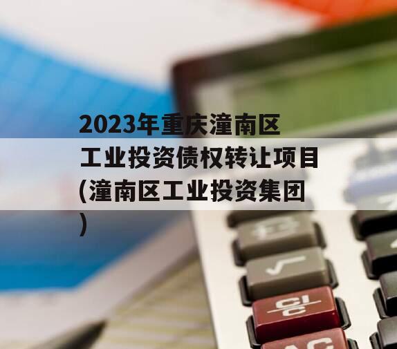 2023年重庆潼南区工业投资债权转让项目(潼南区工业投资集团)