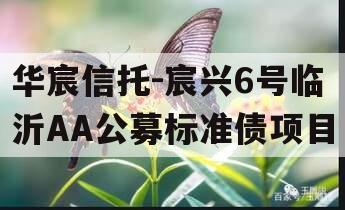 华宸信托-宸兴6号临沂AA公募标准债项目