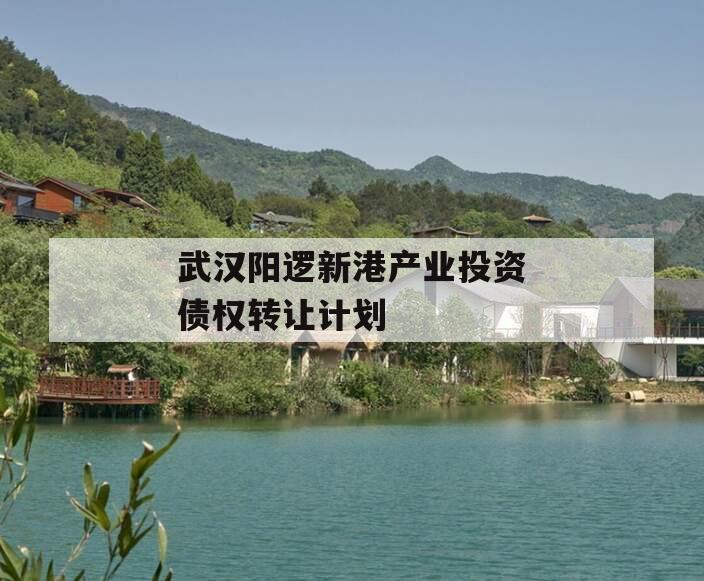 武汉阳逻新港产业投资债权转让计划 武汉阳逻新港产业投资债权转让计划