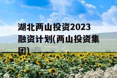 湖北两山投资2023融资计划(两山投资集团)