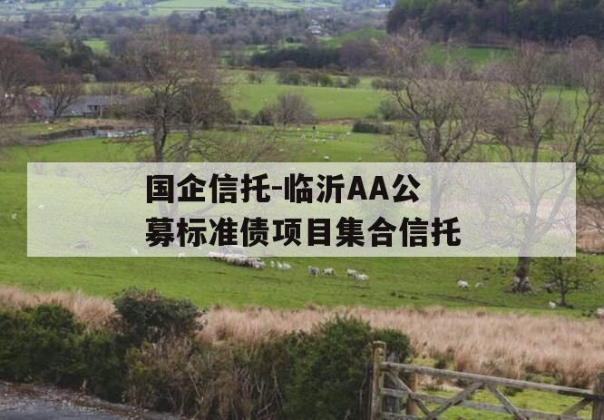 国企信托-临沂AA公募标准债项目集合信托