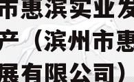 滨州市惠滨实业发展债权资产（滨州市惠滨实业发展有限公司）