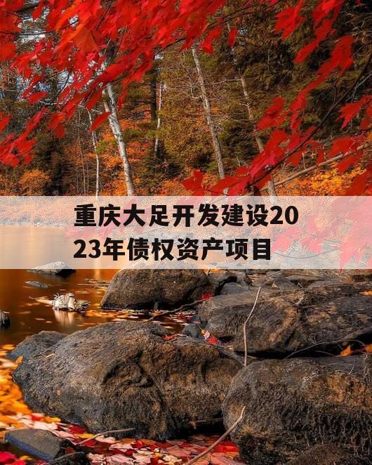 重庆大足开发建设2023年债权资产项目