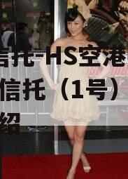 GM信托-HS空港财产权信托（1号）的简单介绍