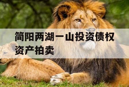 简阳两湖一山投资债权资产拍卖