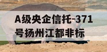 A级央企信托-371号扬州江都非标