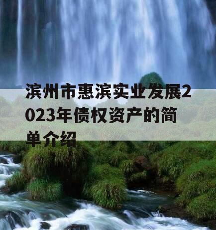 滨州市惠滨实业发展2023年债权资产的简单介绍