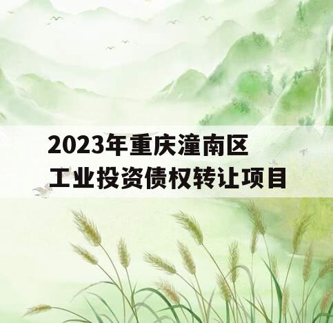 2023年重庆潼南区工业投资债权转让项目