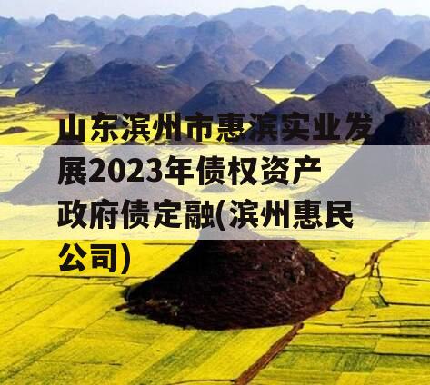 山东滨州市惠滨实业发展2023年债权资产政府债定融(滨州惠民公司)
