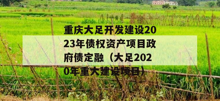 重庆大足开发建设2023年债权资产项目政府债定融（大足2020年重大建设项目）