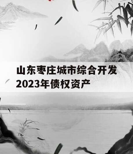 山东枣庄城市综合开发2023年债权资产