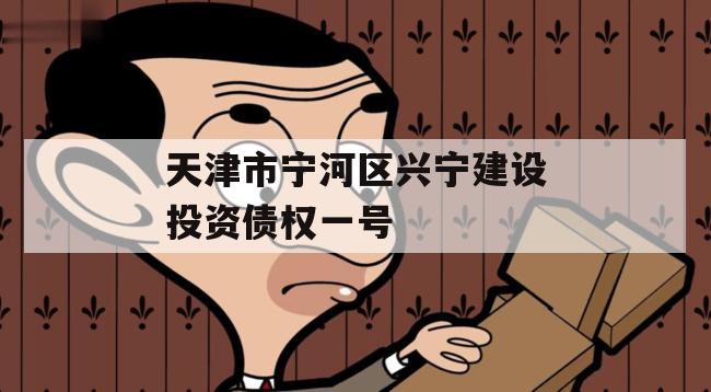 天津市宁河区兴宁建设投资债权一号