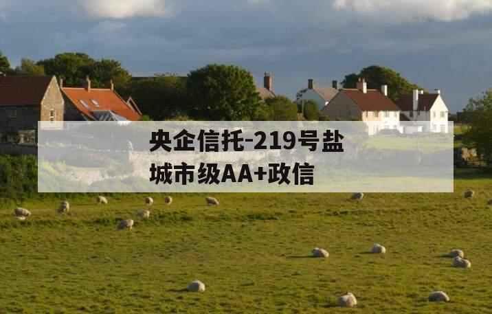 央企信托-219号盐城市级AA+政信