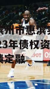 山东滨州市惠滨实业发展2023年债权资产政府债定融