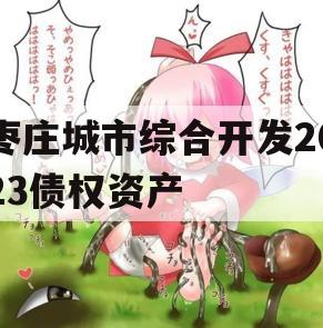 枣庄城市综合开发2023债权资产