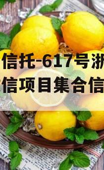 央企信托-617号浙江政信项目集合信托计划