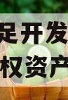 重庆大足开发建设2023年债权资产项目