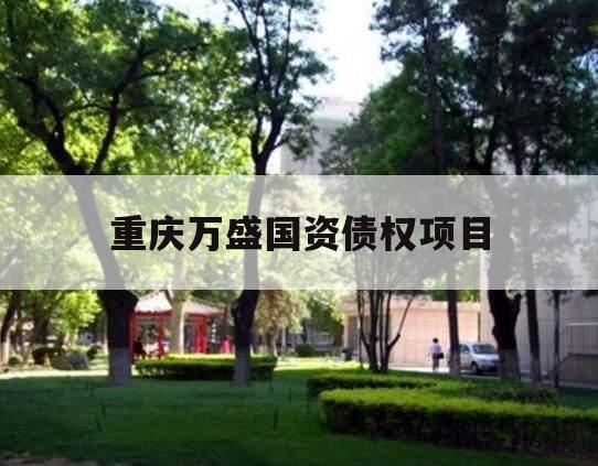 重庆万盛国资债权项目