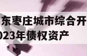 山东枣庄城市综合开发2023年债权资产
