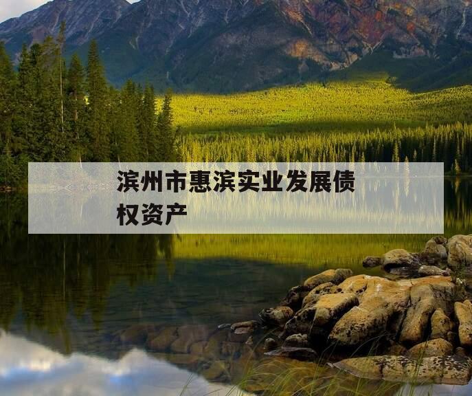 滨州市惠滨实业发展债权资产