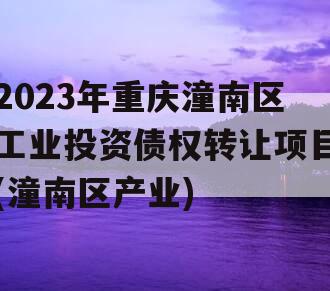 2023年重庆潼南区工业投资债权转让项目(潼南区产业)