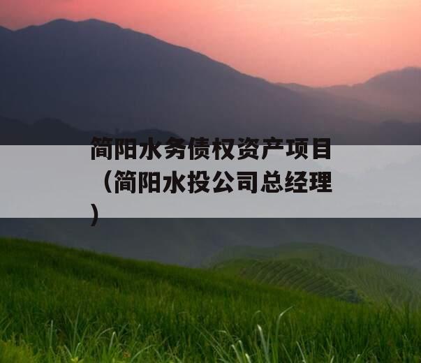 简阳水务债权资产项目（简阳水投公司总经理）