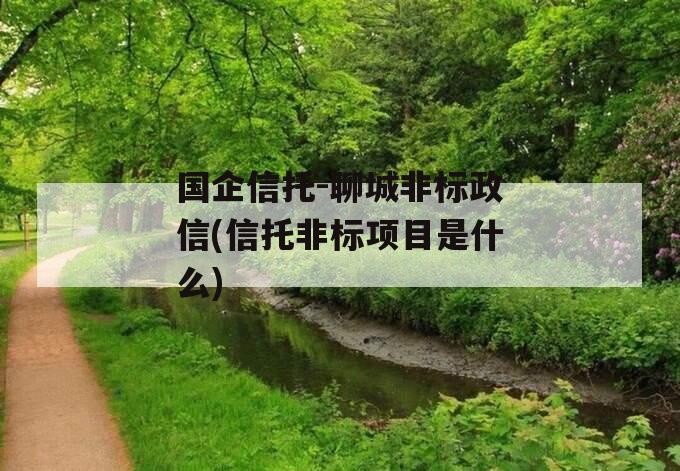 国企信托-聊城非标政信(信托非标项目是什么)