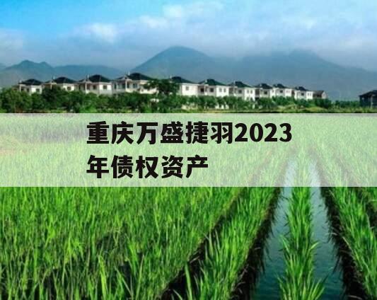 重庆万盛捷羽2023年债权资产