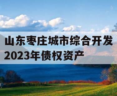 山东枣庄城市综合开发2023年债权资产
