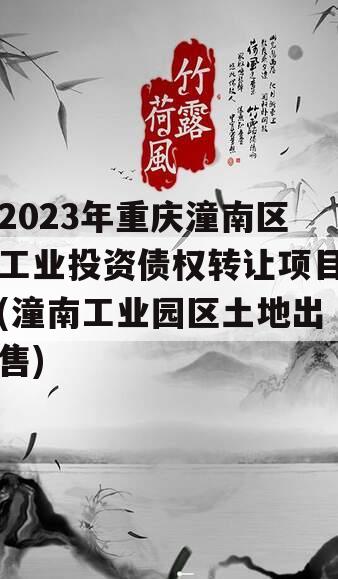2023年重庆潼南区工业投资债权转让项目(潼南工业园区土地出售)