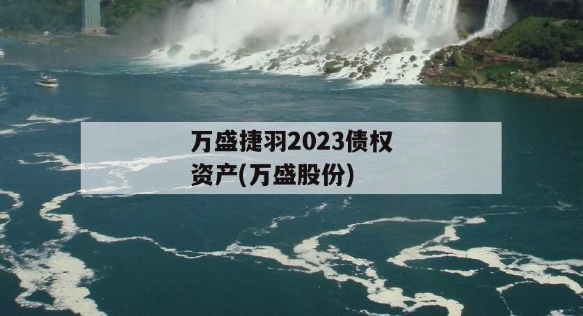 万盛捷羽2023债权资产(万盛股份)