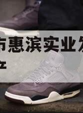 滨州市惠滨实业发展债权资产