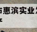 滨州市惠滨实业发展债权资产