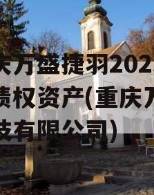 重庆万盛捷羽2023年债权资产(重庆万盛科技有限公司)