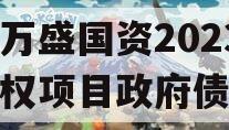 重庆万盛国资2023年债权项目政府债定融