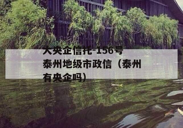 大央企信托-156号泰州地级市政信（泰州有央企吗）