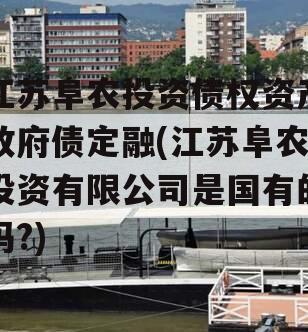 江苏阜农投资债权资产政府债定融(江苏阜农投资有限公司是国有的吗?)