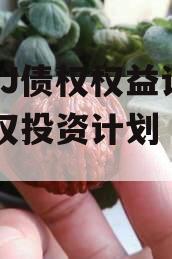 JTCJ债权权益计划(债权投资计划 指引)