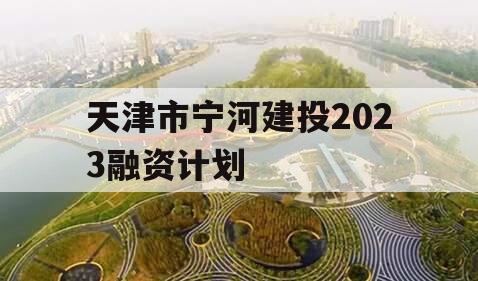天津市宁河建投2023融资计划