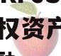 重庆DZKFJS2023年债权资产项目政府债定融