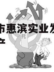 滨州市惠滨实业发展债权资产